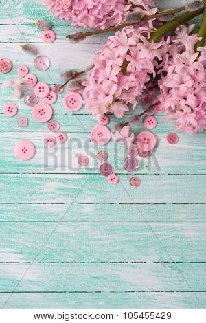Postcard With Hyacinths And Willow Flowers And Pink Buttons  On Turquoise Painted Wooden Background.