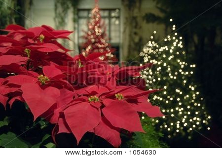 Longwood Gardens 162