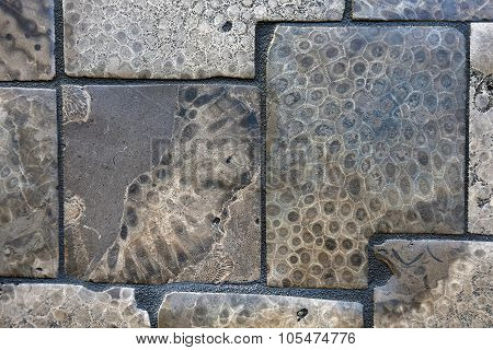 petoskey stone tiled wall