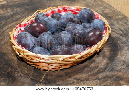 Freshly Harvested Plums