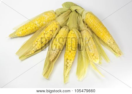 little sweet corn