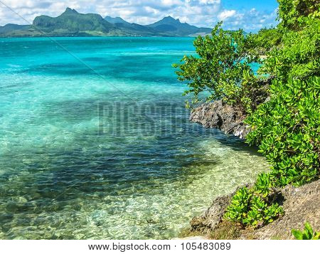 Aigrettes island Mauritius