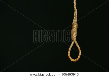 bankrupt concept, rope noose with hangman's knot hanging in front, Halloween background.
