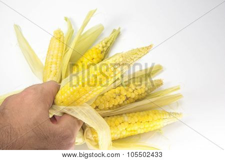 little sweet corn