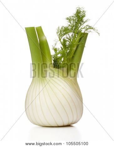 Fresh fennel bulb isolated on white background close up