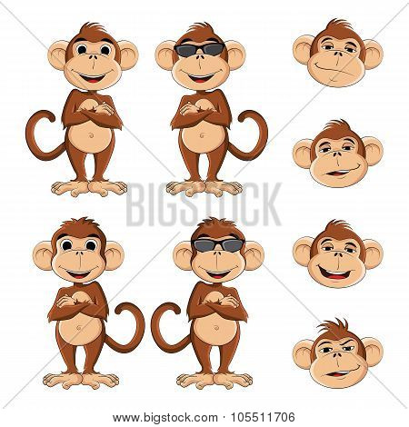 Cool monkey