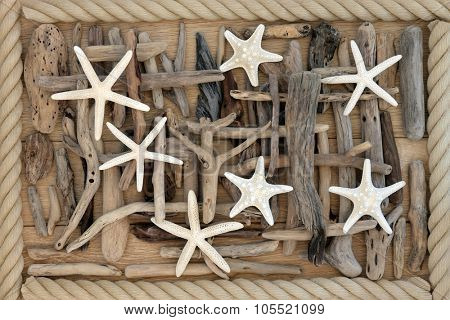 Starfish sea shells and driftwood abstract background over oak wood with rope surround.