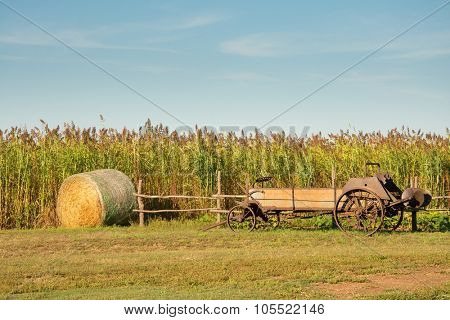 An antique manure spreader and a round bale of hay in front of a sorghum field - an agricultural background