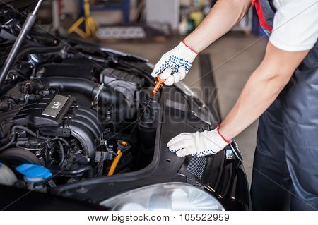 Oil Change
