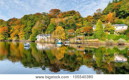 Beautiful Sunny Autumn Day On The River Lerryn
