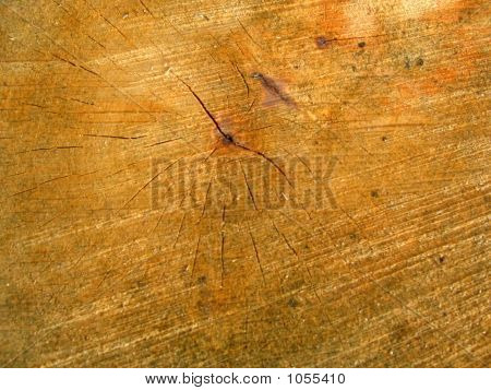 Holz