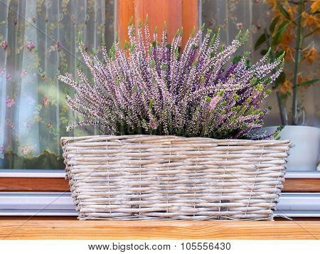 Wicker basket with lilac heather on windowsill