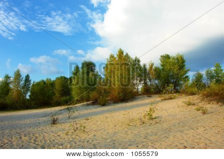 Efterårsfarver River strand med hvidt popler