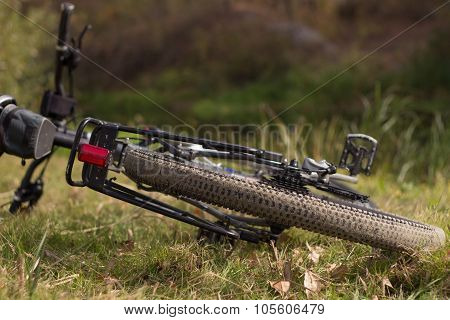 Mountain bike.