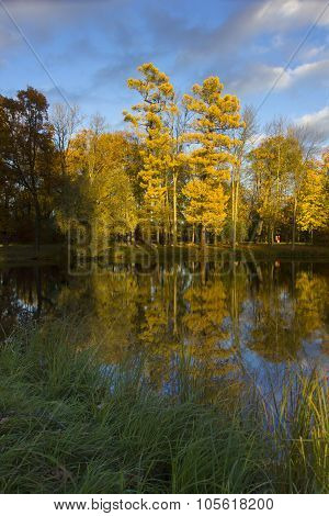 Sunny autumn landscape