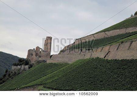 Blick auf die Burg von Rhein, Deutschland