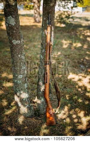 Old soviet rifle of World War II leaning against trunk of tree
