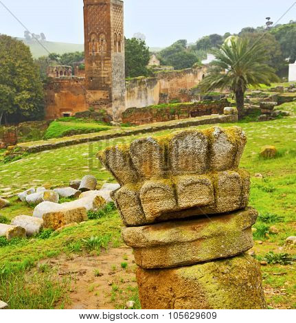 Chellah  In Morocco Africa The Old Roman Deteriorated Monument And Site