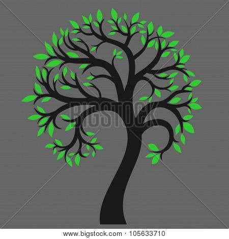 Silhouette of a tree