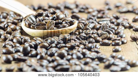 Coffee Beans  Texture  On The Wood Background