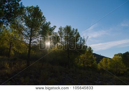 Sunny beams and spanish mountains.
