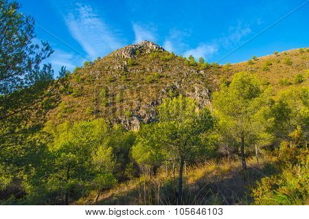 Mountain forest landscape, Spain.