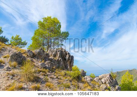 Summer landscape in the mountains, Spain.