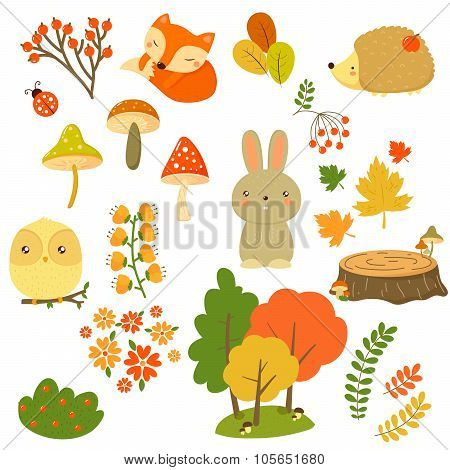 Autumn Forest Plants and Animals, Vector Illustration in Flat Style