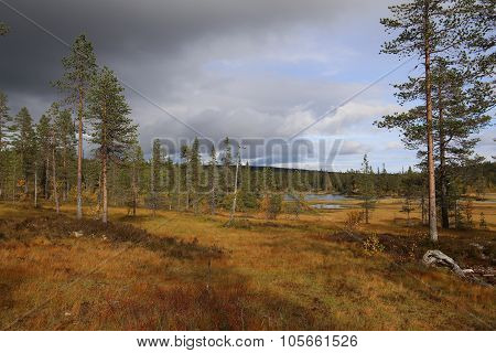 Lakes At Myrflodammen Near Saelen, Sweden On September Day