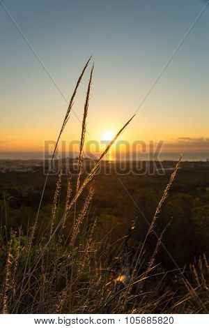Costa Blanca Sunrise