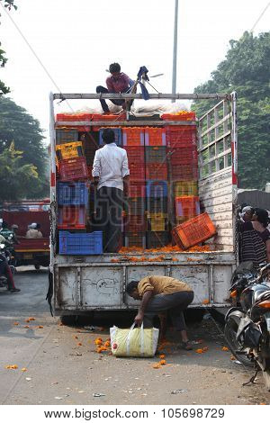 Pune, India - October 21, 2015: Unloading Marigold