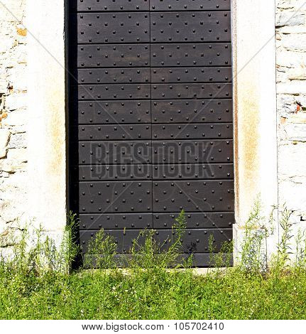 Grass Arsago Seprio Abstract    Italy  Lombardy