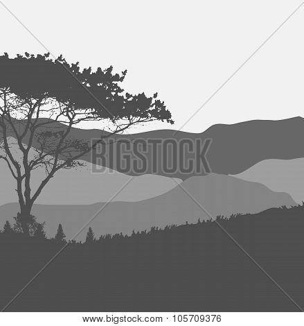 Image of Nature. Tree Silhouette. Vector Illustration