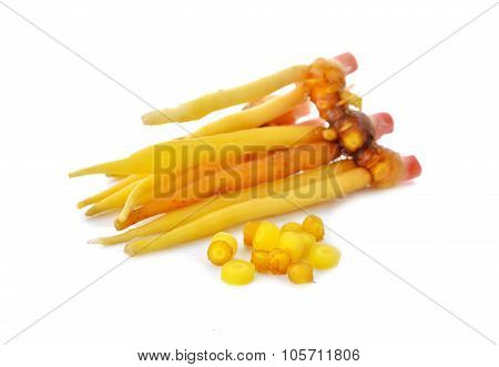 Whole Rhizome, Finger Root On White Background