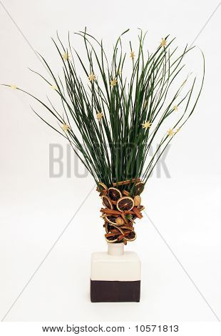 ตกแต่งหลอด