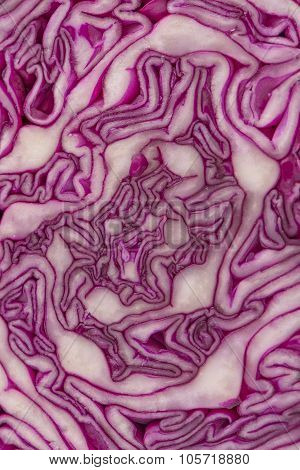 Close Up View Of A Purple Cabbage