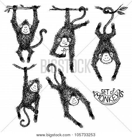 Vector set of doodle monkeys