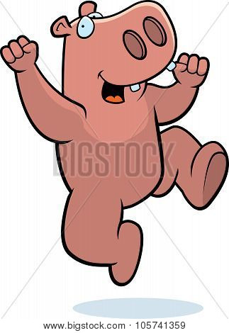 Hippo Jumping