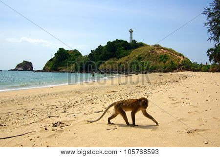 Lighthouse On The Island Of Koh Lanta In Thailand