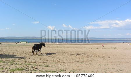 Sea of Siberia