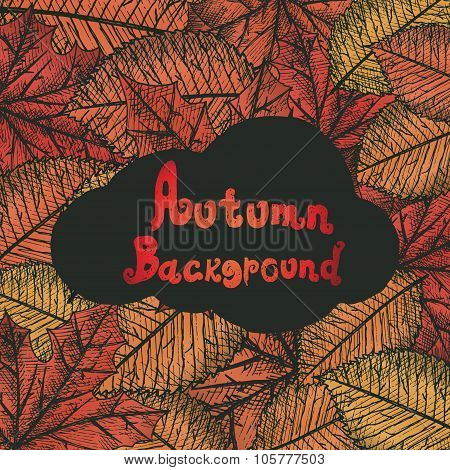 Autumn background. Isolated objects.