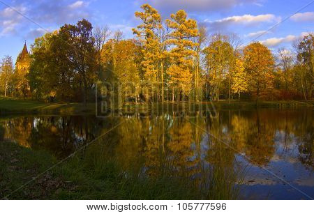 Sunny autumn landscape
