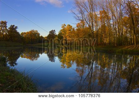 Sunny autumn landscape
