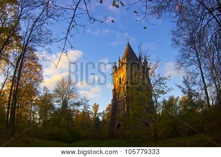 Sunny autumn landscape