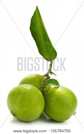  Sweet Lemon with Water Drops