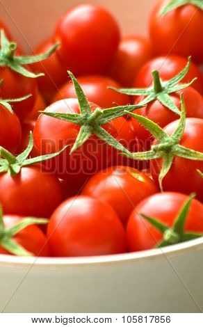 Freshly Picked Cherry Tomatoes