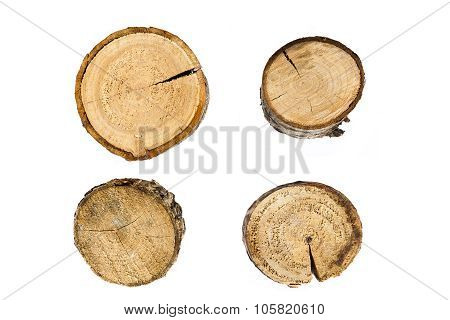 tree rings close up isolated on white background