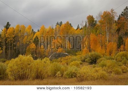 Hope Valley