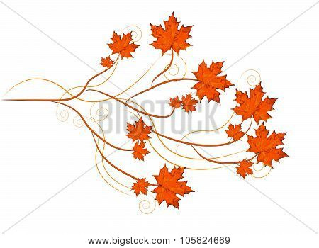 Maple Leaves, Autumn Theme With Branches And Swirls.