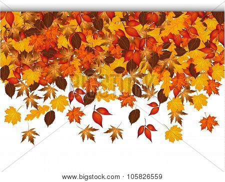Autumn leaves falling from top